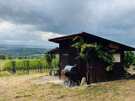 22-09-10 17-43-25 1964